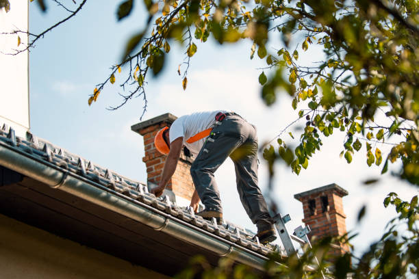 Best Metal Roofing Contractor  in Nescopeck, PA