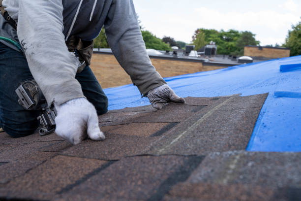 Best Shingle Roofing Installation  in Nescopeck, PA