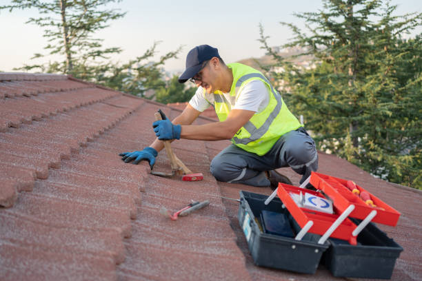 Roof Waterproofing Services in Nescopeck, PA