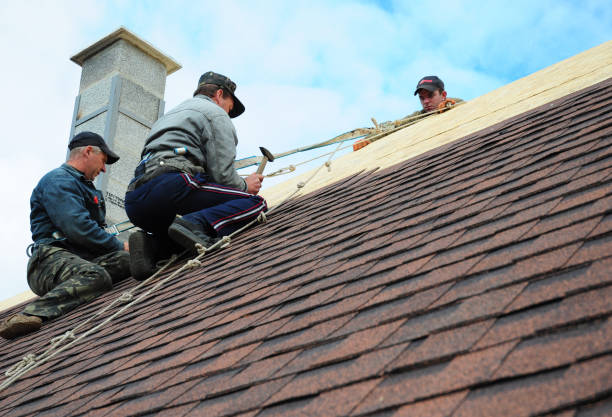 Best Storm Damage Roof Repair  in Nescopeck, PA