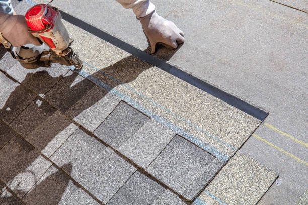 Best Roof Repair Services  in Nescopeck, PA